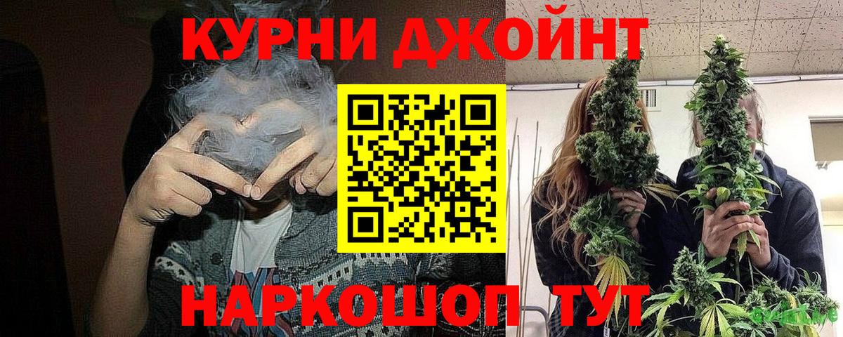 Каннабис план Луховицы